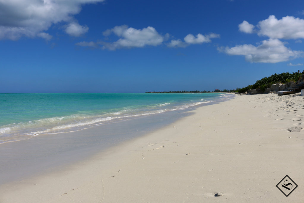 Parrot_Cay_TCI #18