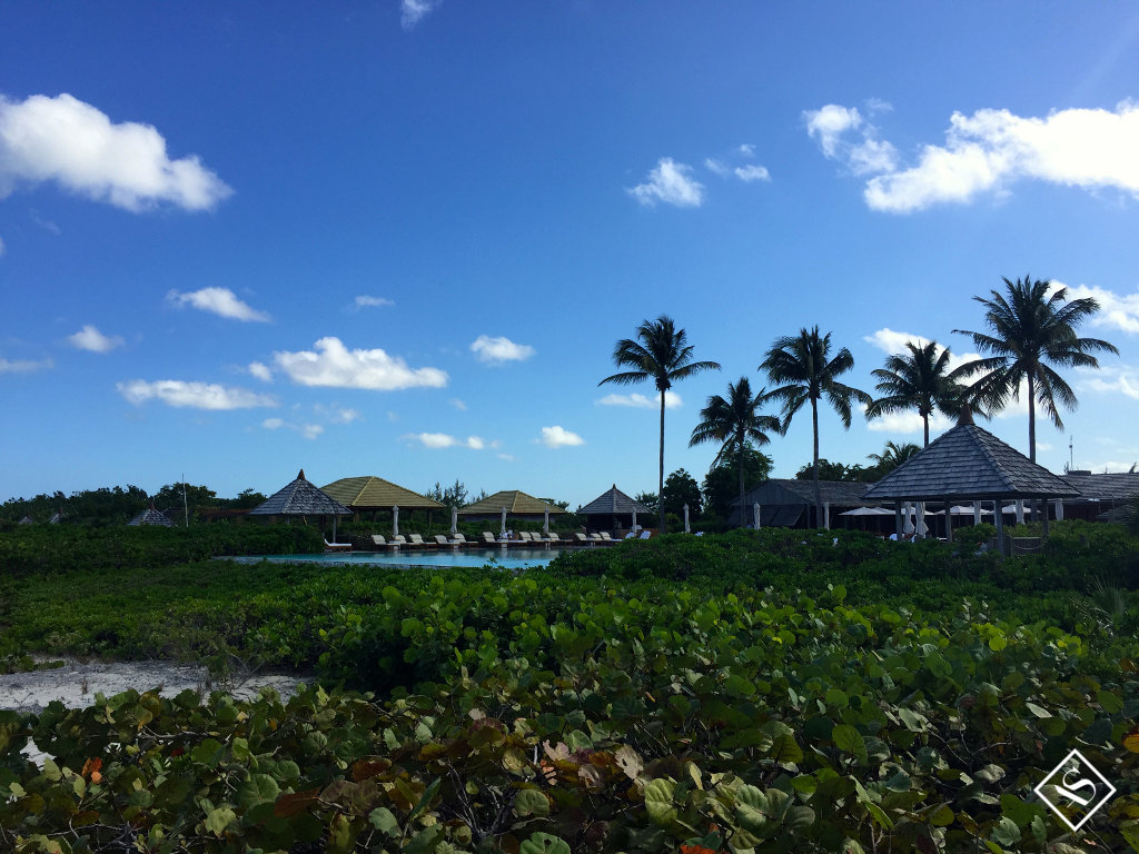 Parrot_Cay_TCI #19