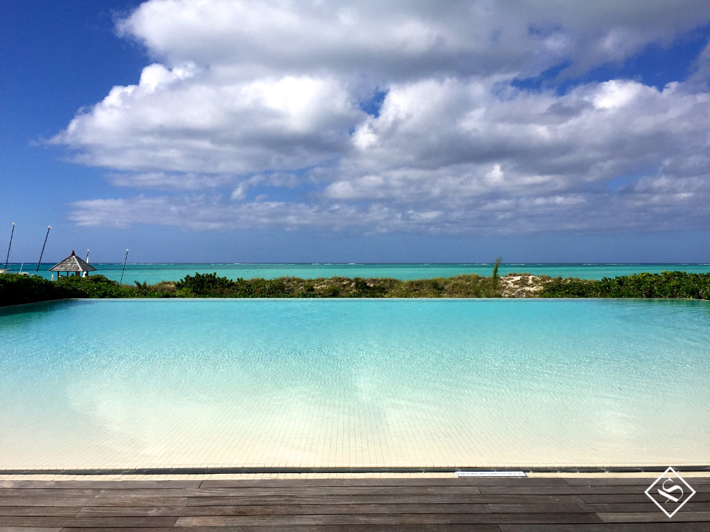 Parrot_Cay_TCI #20